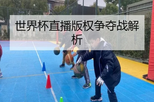 世界杯直播版权争夺战解析