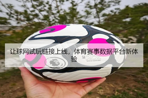 让球网试玩链接上线，体育赛事数据平台新体验